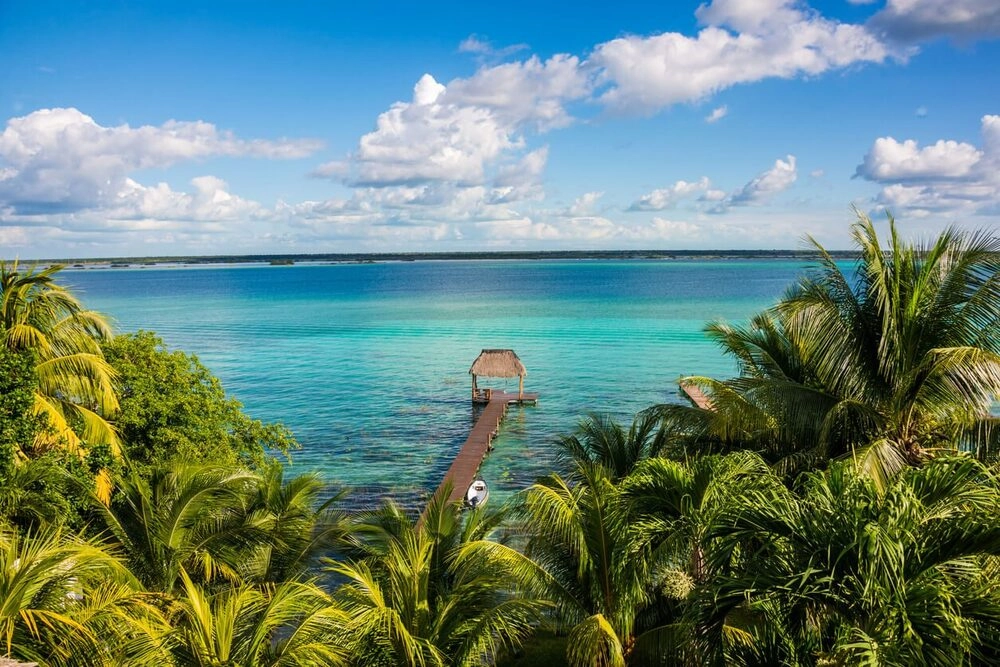 bacalar 597